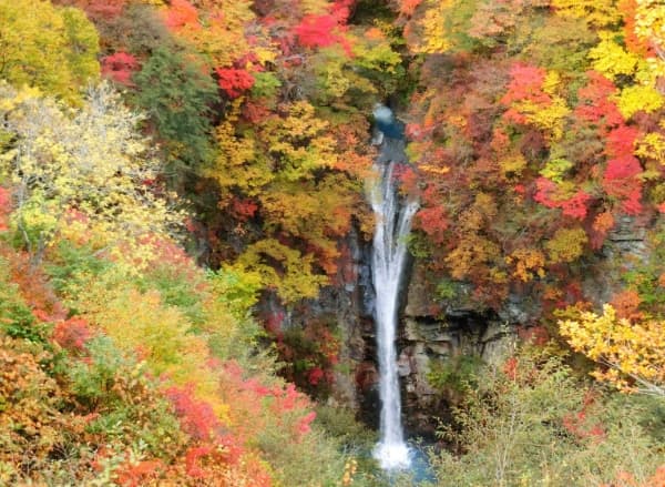 紅葉が広がる森と滝